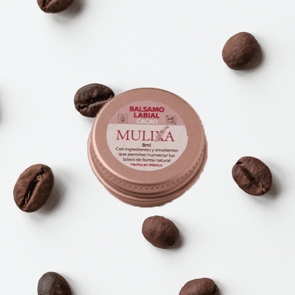 BÁLSAMO LABIAL CACAO 8 GRS