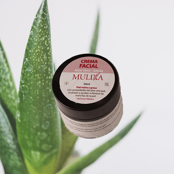 CREMA ALOE VERA- SALVIA / PIEL MIXTA A GRASA