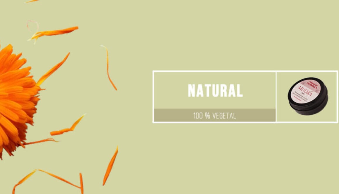 Calendula banner blog